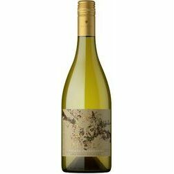 b-vins-diablo-golden-chardonnay-sausais-13-5-0-75l
