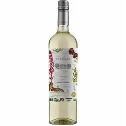b-vins-tarapaca-biodiversity-pinot-grigio-sausais-12-5-0-75l