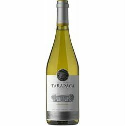 b-vins-tarapaca-chardonnay-sausais-13-5-0-75l