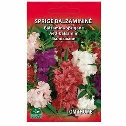 balzamine-sprigane