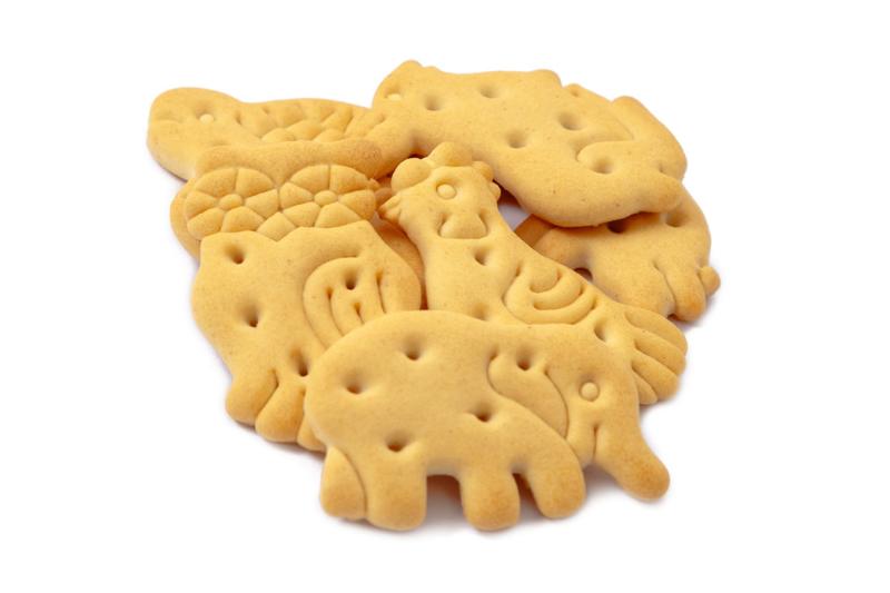 Cepumi Zooloģiskie, sverami, Adugs