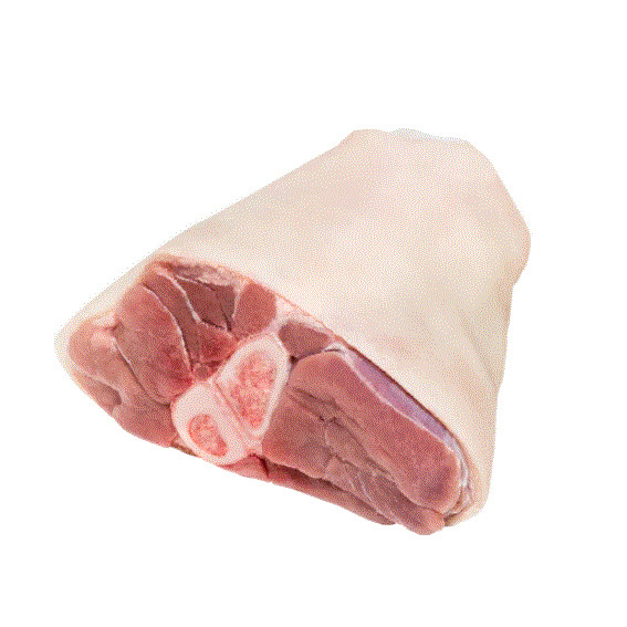 Cūkas stilbiņš mazais, GPU Nākotne