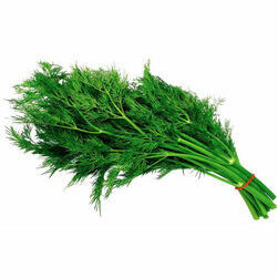 dilles-2-skira-30g