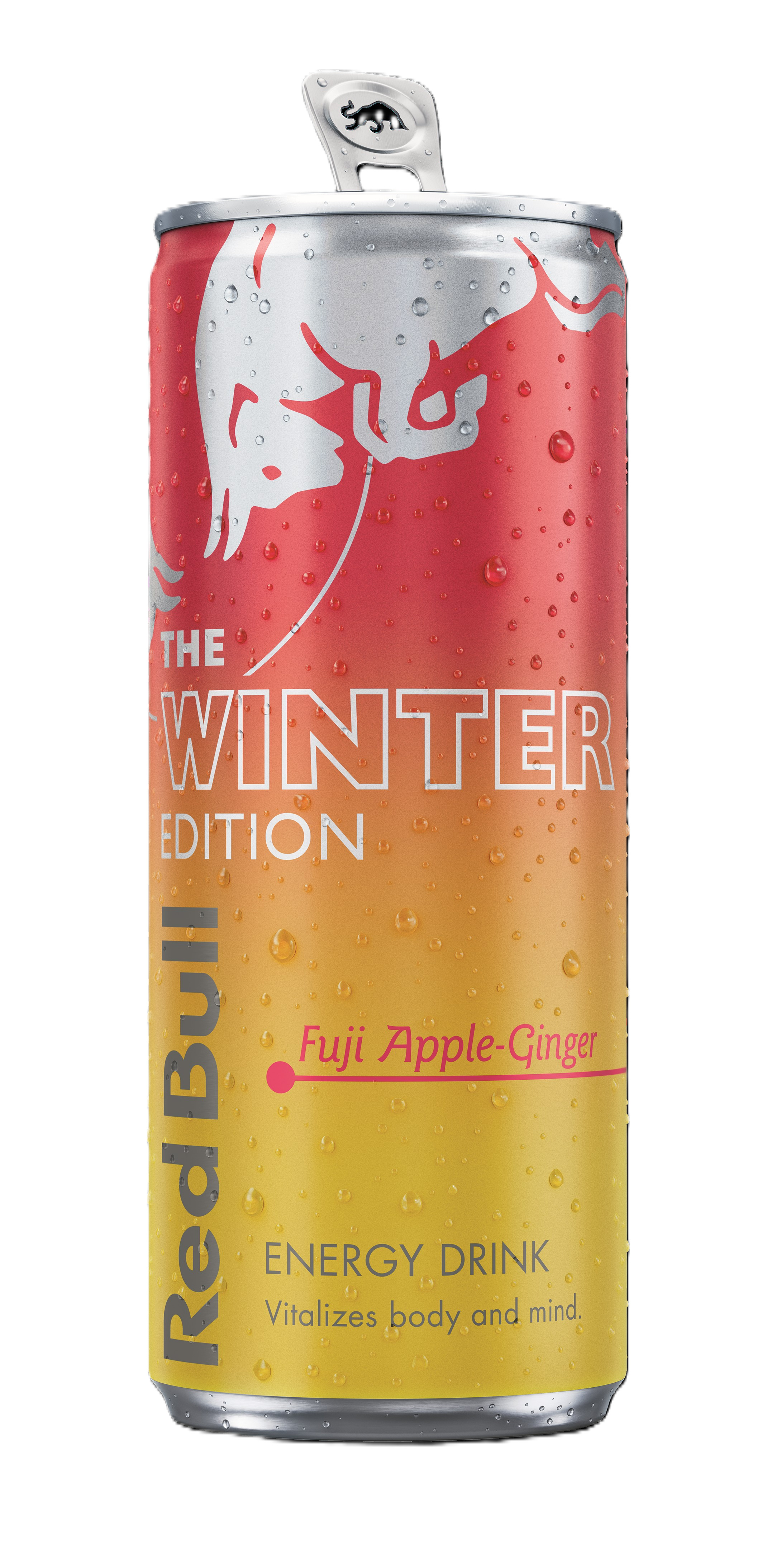 Enerģijas dzēriens Winter Edition 0.25l, Red Bull