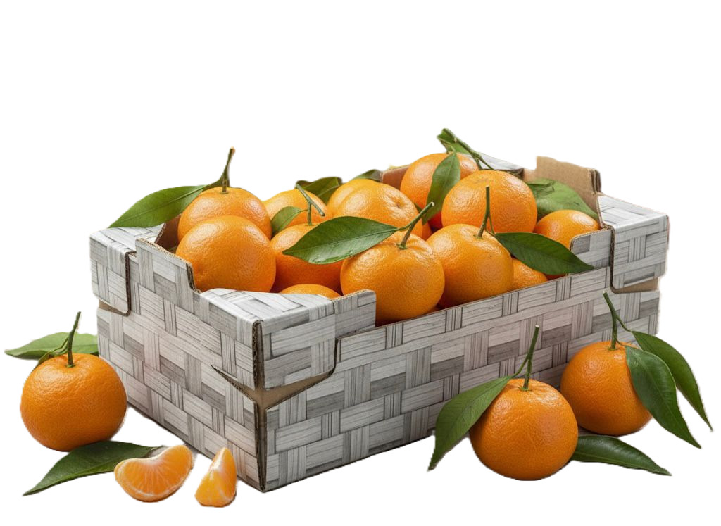 Mandarīni kastītē 2/3kal, 1.šķira 2.3kg