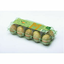 olas-balticovo-brunas-a-s-10gab