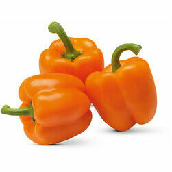 paprika-oranza-california-sver