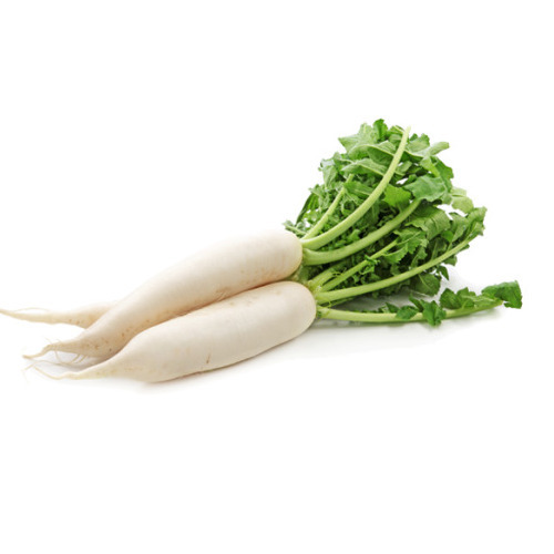 Redīsi baltie, sverami