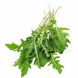 salati-roccola-2-skira-nemazgati-125g