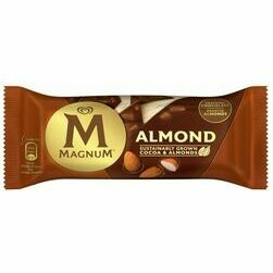saldejums-almond-110ml-83g-magnum