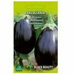 seklas-baklazani-black-beauty-1g-nojus