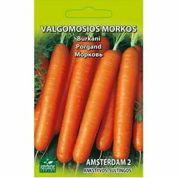 seklas-burkani-amsterdam-2-3g