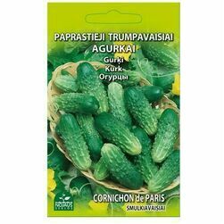 seklas-isauglu-gurki