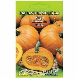 seklas-kirbji-baby-bear-2g