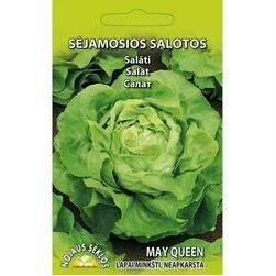 seklas-salati-may-queen-2g