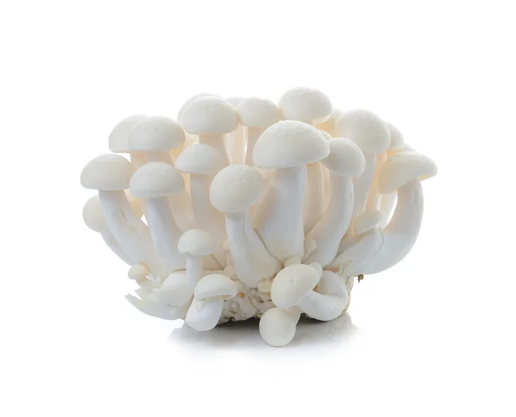 Sēnes Simeji baltas 150g