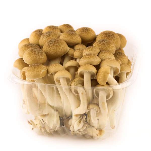 Sēnes Simeji Brūnas 150g ,1.šķ.