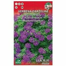 verbena