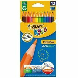 zimuli-krasainie-bic-evolution-12gb